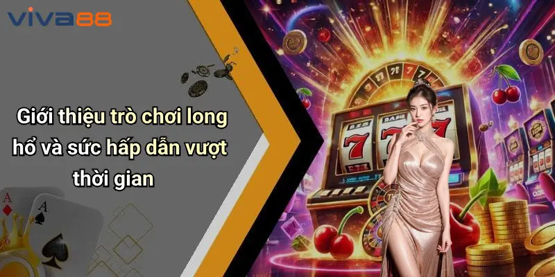 Long Hổ: Thắp Lửa Đam Mê Giải Trí Đỉnh Cao Tại VIVA88 2 Long Hổ