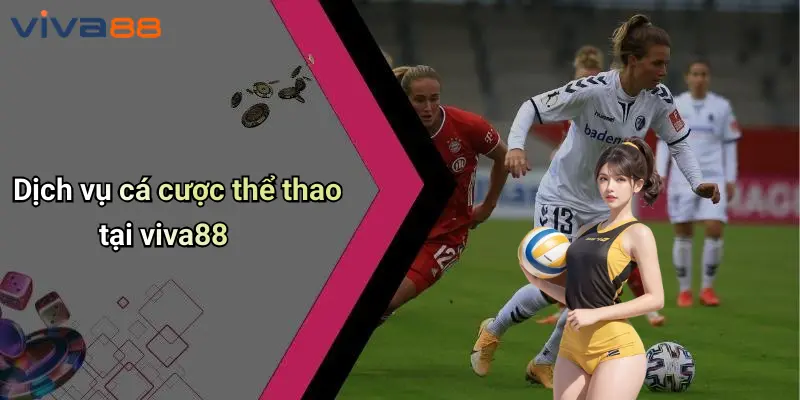 VIVA88 3 Dịch vụ cá cược thể thao tại viva88